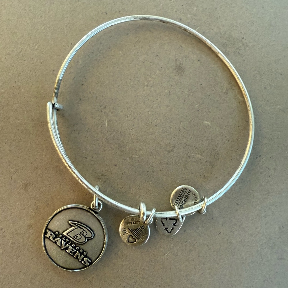 Alex and Ani Silver Charm Bracelet